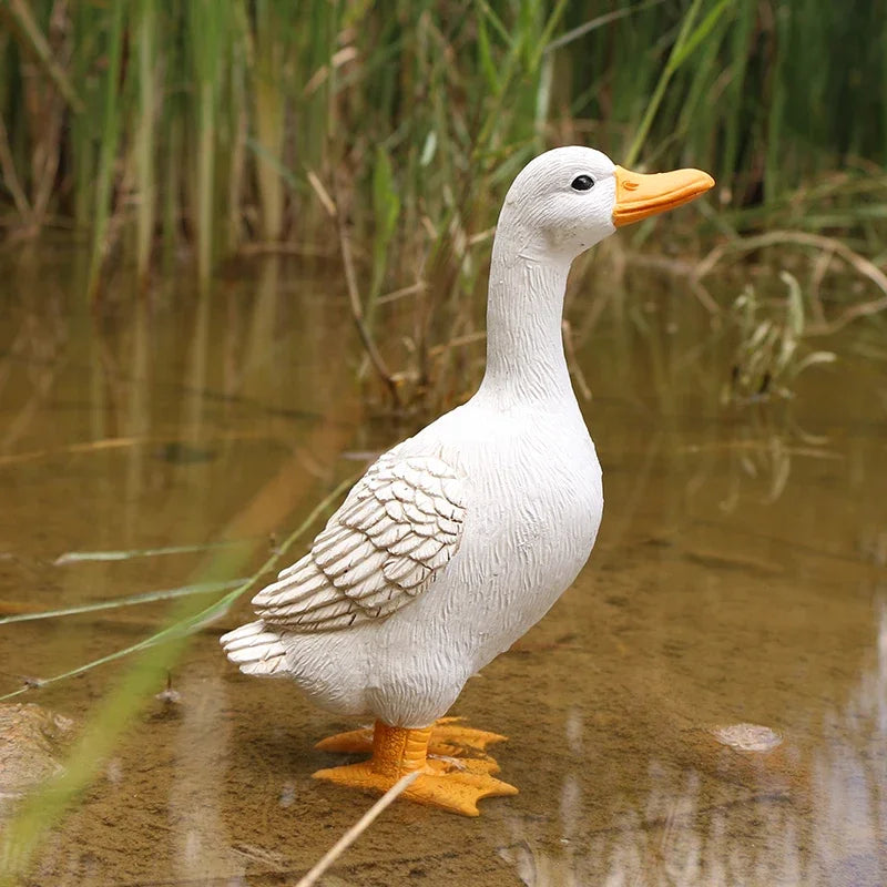 Duck Statues Landscape Ornament Farm Animal Simulation Model Statue Toy Chicken Duck Goose Figurine Sculpture Indoor Home Decor