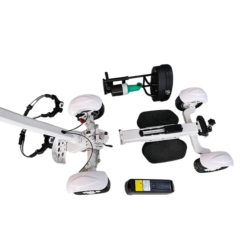 ESWING 4 Wheel Golf Mobility Scooter 2400W Powerful Electric Mobility Scooter Cost Effective Golf Mobility Scooter Foldable Fat