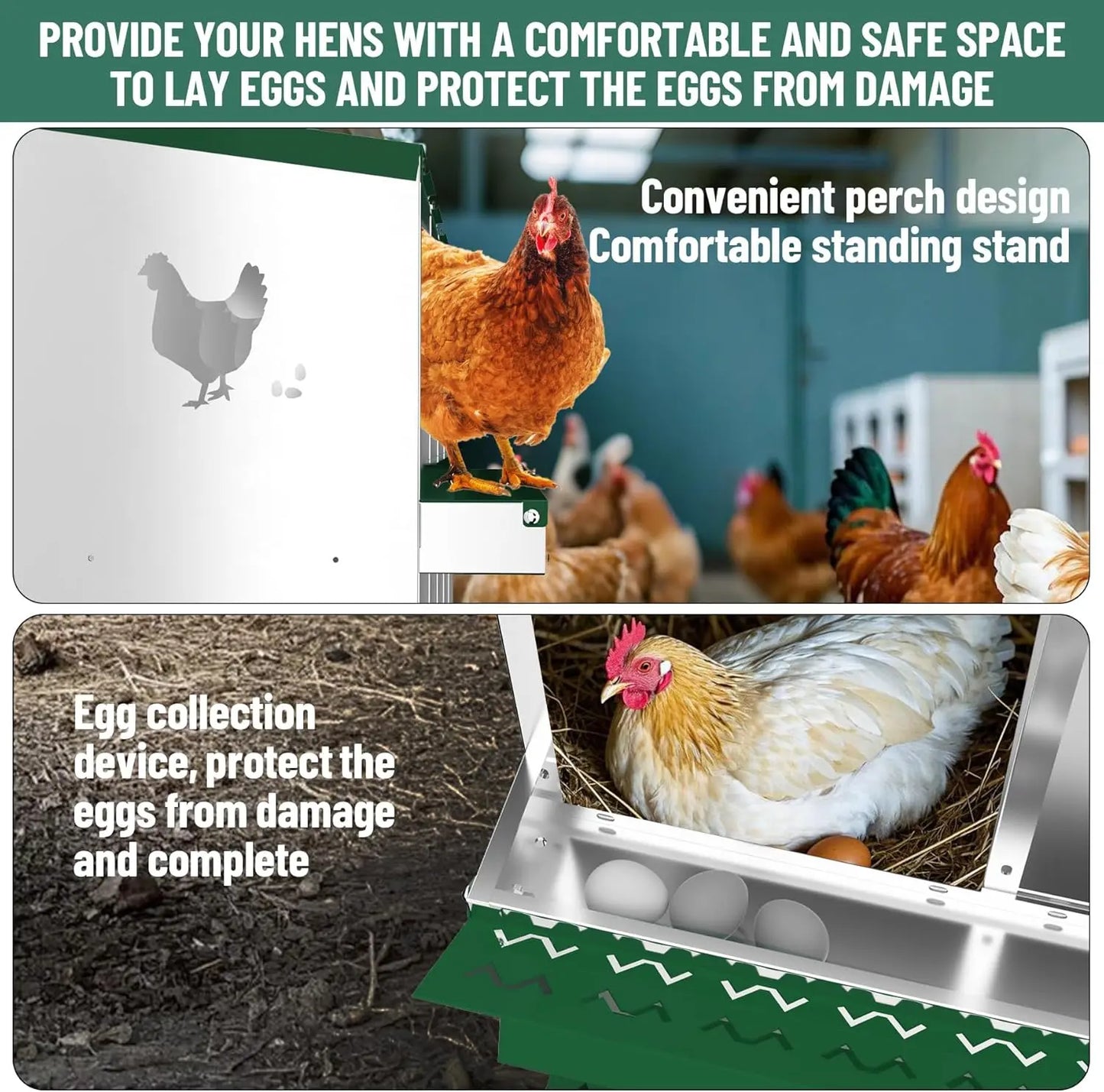 Chicken Nesting Box with Bracket Legs 6 8 10 Compartment Metal Chicken Laying Boxes for Chicken Coop Hens