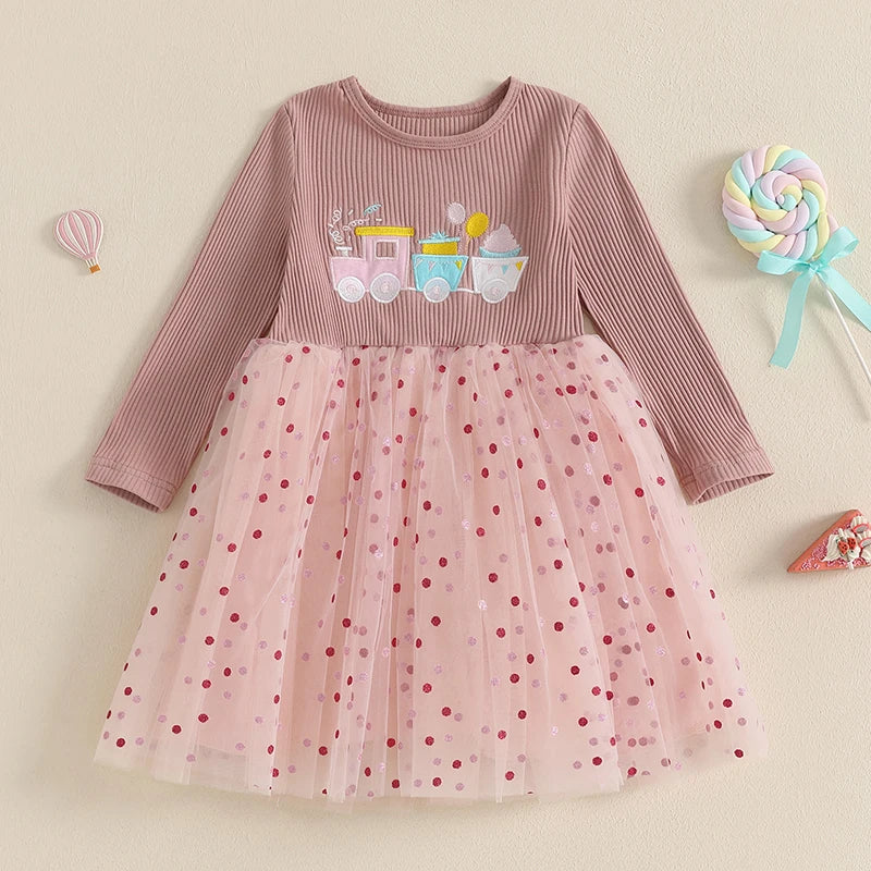 Toddler Girl Princess Dress with Floral Embroidery and Long Sleeves Elegant Tulle Party Dress for Fall Celebration