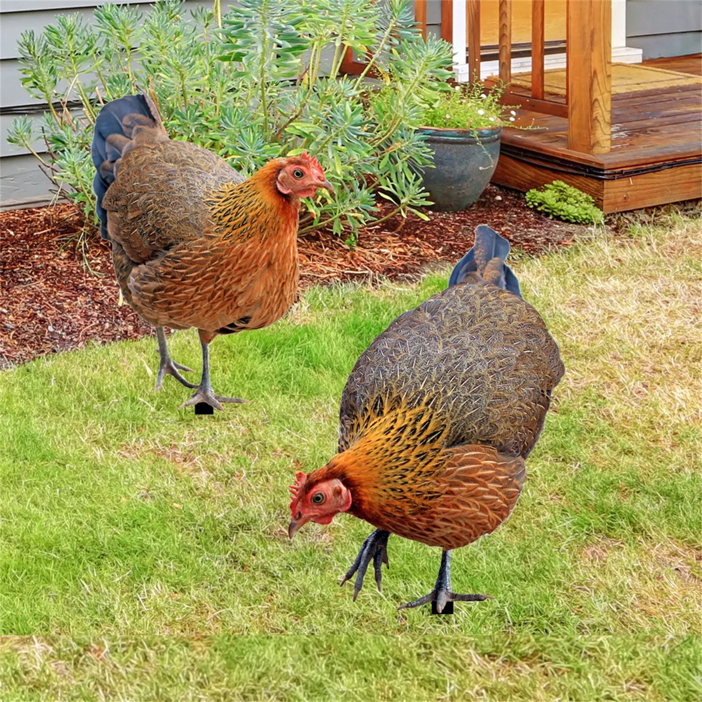 Realistic Chicken Statues Acrylic Rooster Animals Stakes Animals Sculptures Decor Chicken Ornaments Yard Art Decor For Backyard