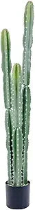 UV Resistant 5ft Large Artificial Cactus with White Decorative Planter, 60in Realistic Faux Cacti Indoor, Lifelike Fake Cactus P