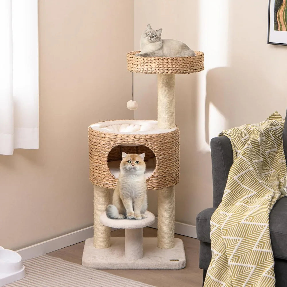 41 inch Modern Cat Tree for Indoor Cats, Multi-Level Small Cat Tree with Sisal Scratching Posts, Cattail Top Perch