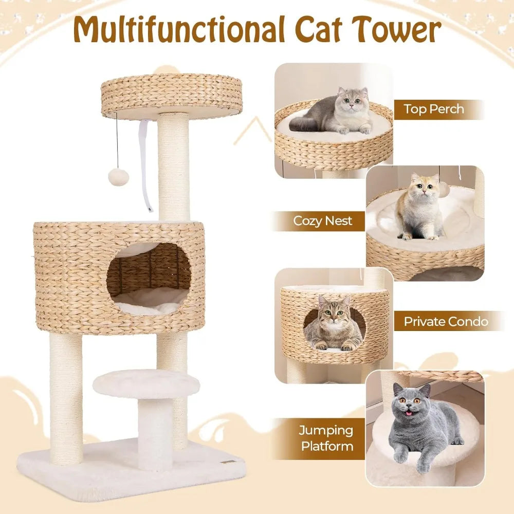 41 inch Modern Cat Tree for Indoor Cats, Multi-Level Small Cat Tree with Sisal Scratching Posts, Cattail Top Perch