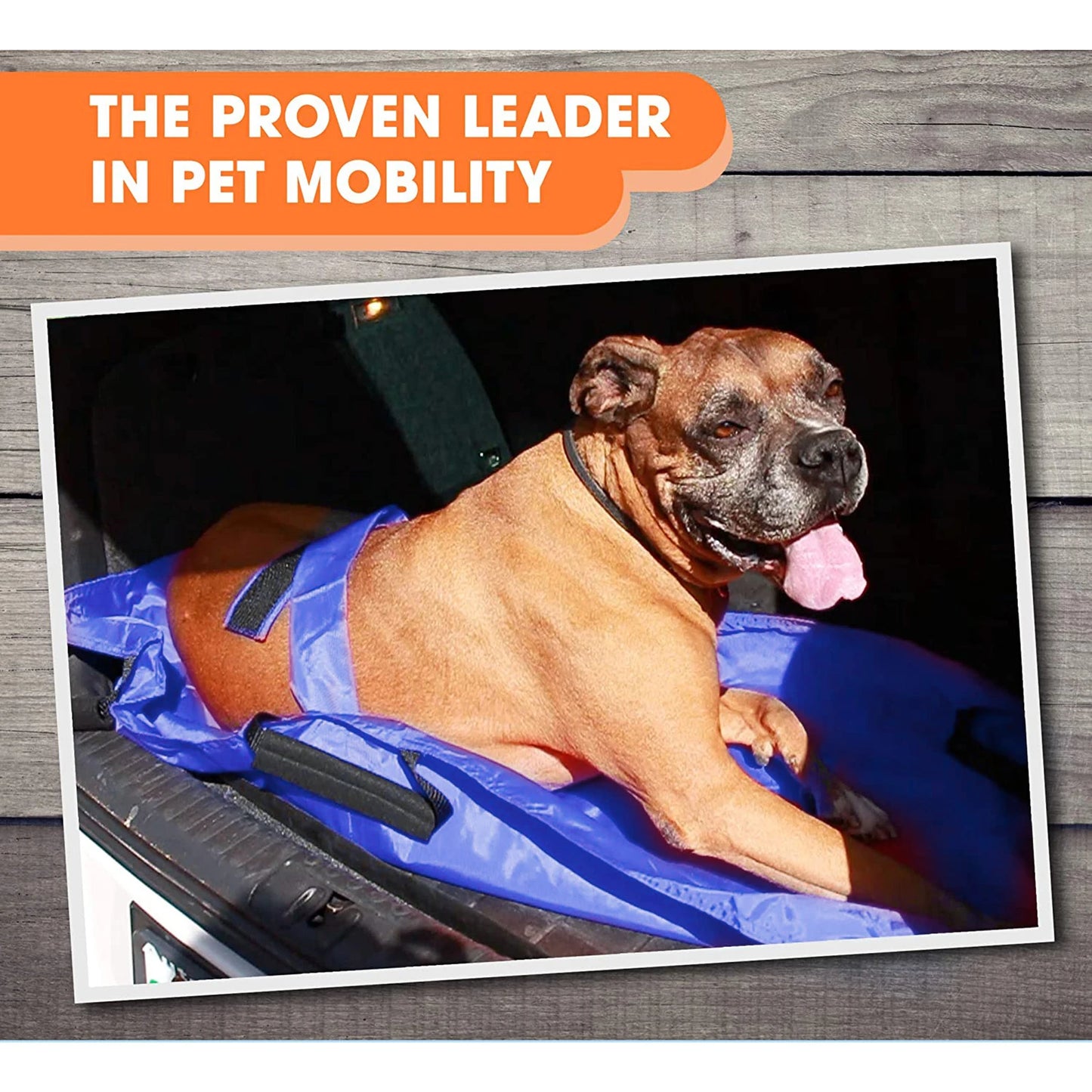 Pet Transport Stretcher,Foldable Foldable Emergency Animal Carrier Anti-bite Nylon Stra w/6 Handles, 132 lb Capacity, Animal St