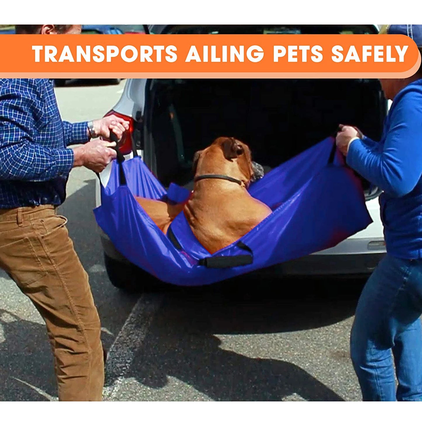 Pet Transport Stretcher,Foldable Foldable Emergency Animal Carrier Anti-bite Nylon Stra w/6 Handles, 132 lb Capacity, Animal St