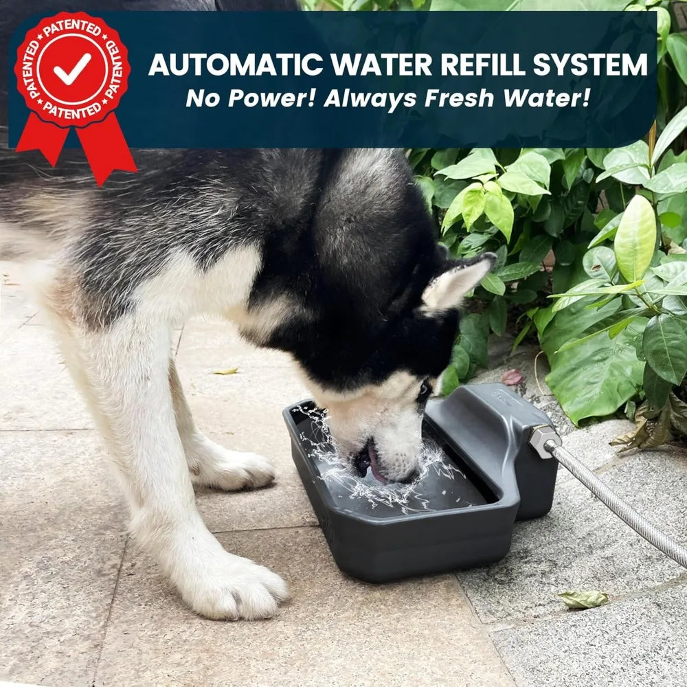 Automatic Dog Water Dispenser, 1 Gallon Auto-Fill Dog Water Bowl Dispenser for Indoor/Outdoor, Water Feeder for Pets & Livestock