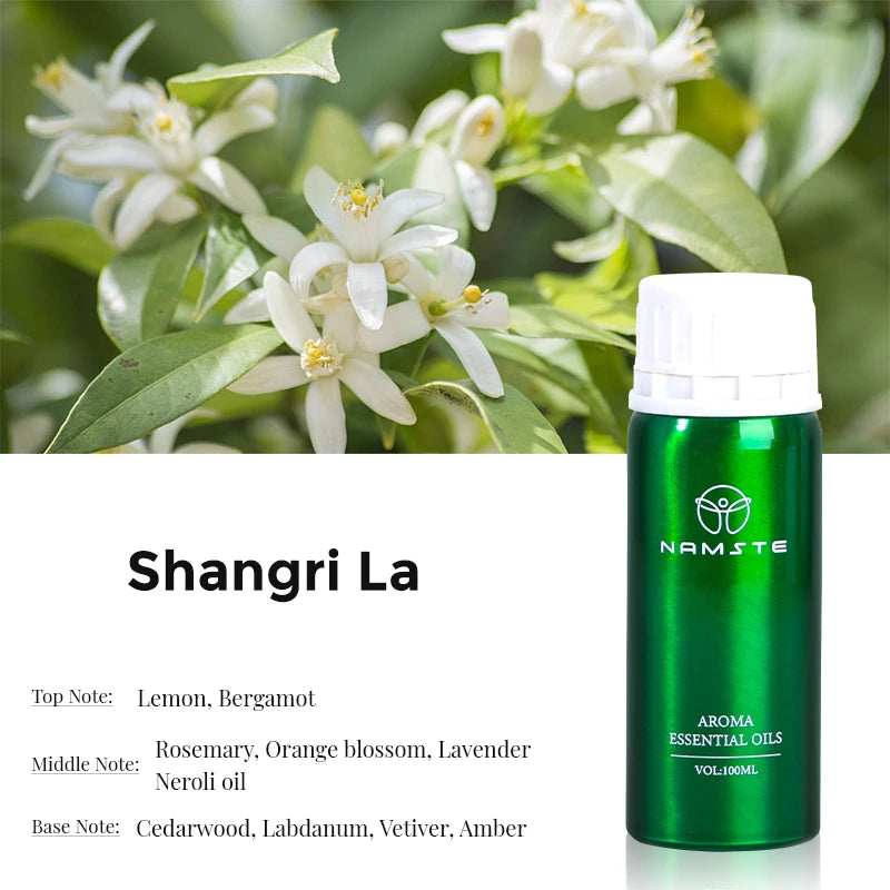 NAMSTE Electric Aromatic Hotel Essential Oil Sale Pure Plant Diffuser Essential Oils Oasis Fragrant Device Home Air Freshener