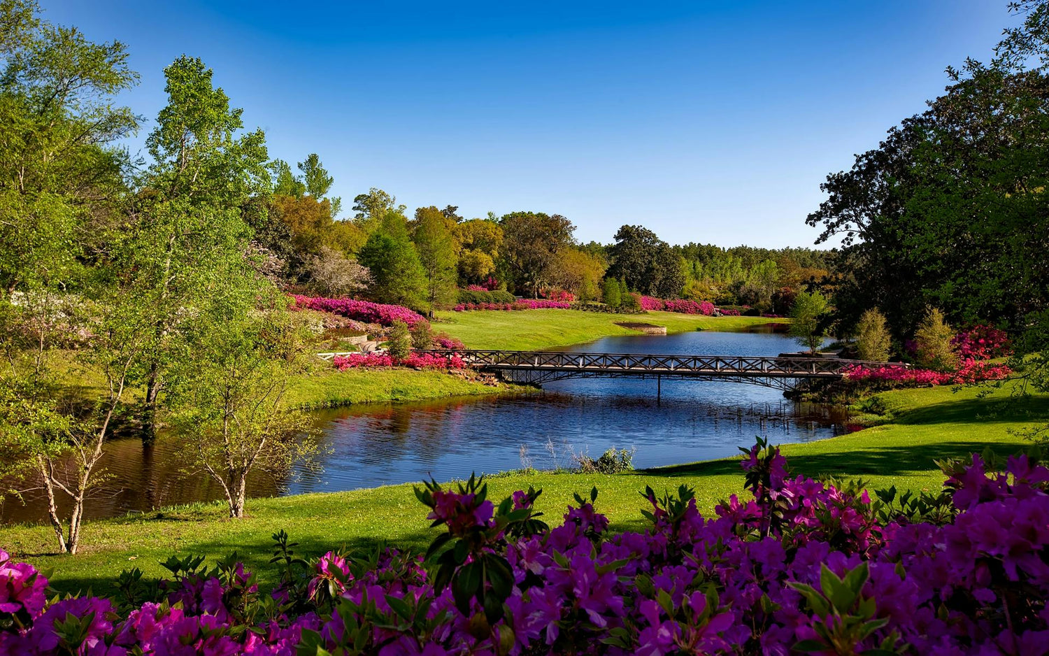 Lawn & Garden