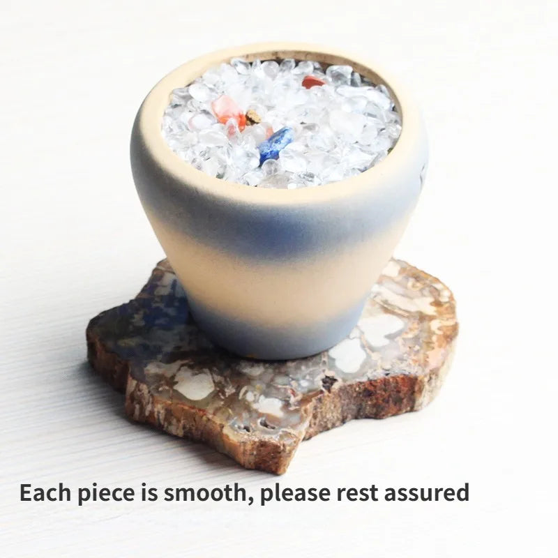 300-700g Large Natural Home Decorations Minerals Crystal Woodstone Fossil Tree for Coaster Desk Decoration