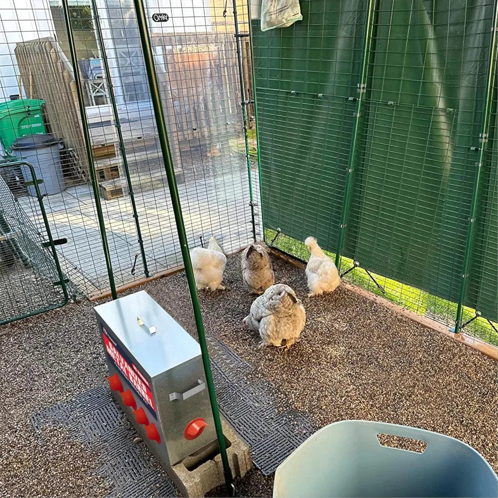 Large Capacity 85lbs Automatic Metal Poultry Feeder Set, Chicken Galvanized Trough, Chicken Feeder No Waste, Rainproof Poultry F