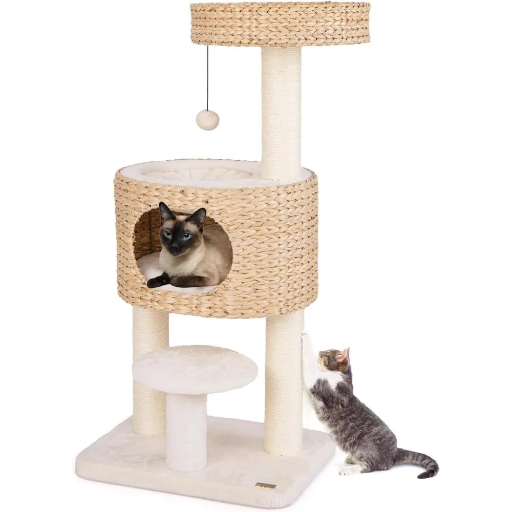 41 inch Modern Cat Tree for Indoor Cats, Multi-Level Small Cat Tree with Sisal Scratching Posts, Cattail Top Perch