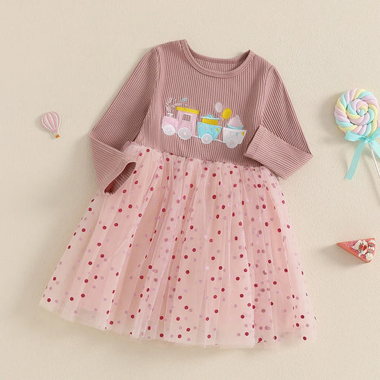 Toddler Girl Princess Dress with Floral Embroidery and Long Sleeves Elegant Tulle Party Dress for Fall Celebration