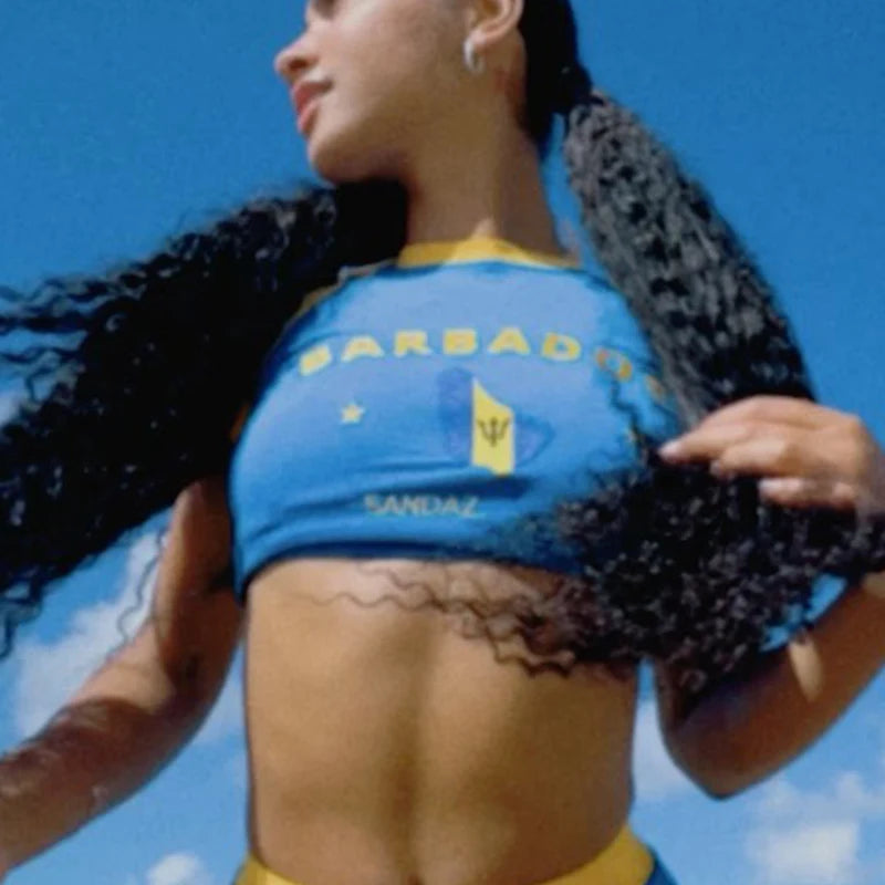 2024 Blue Embroidered Crop Top Women Slim Short Sleeve Tee