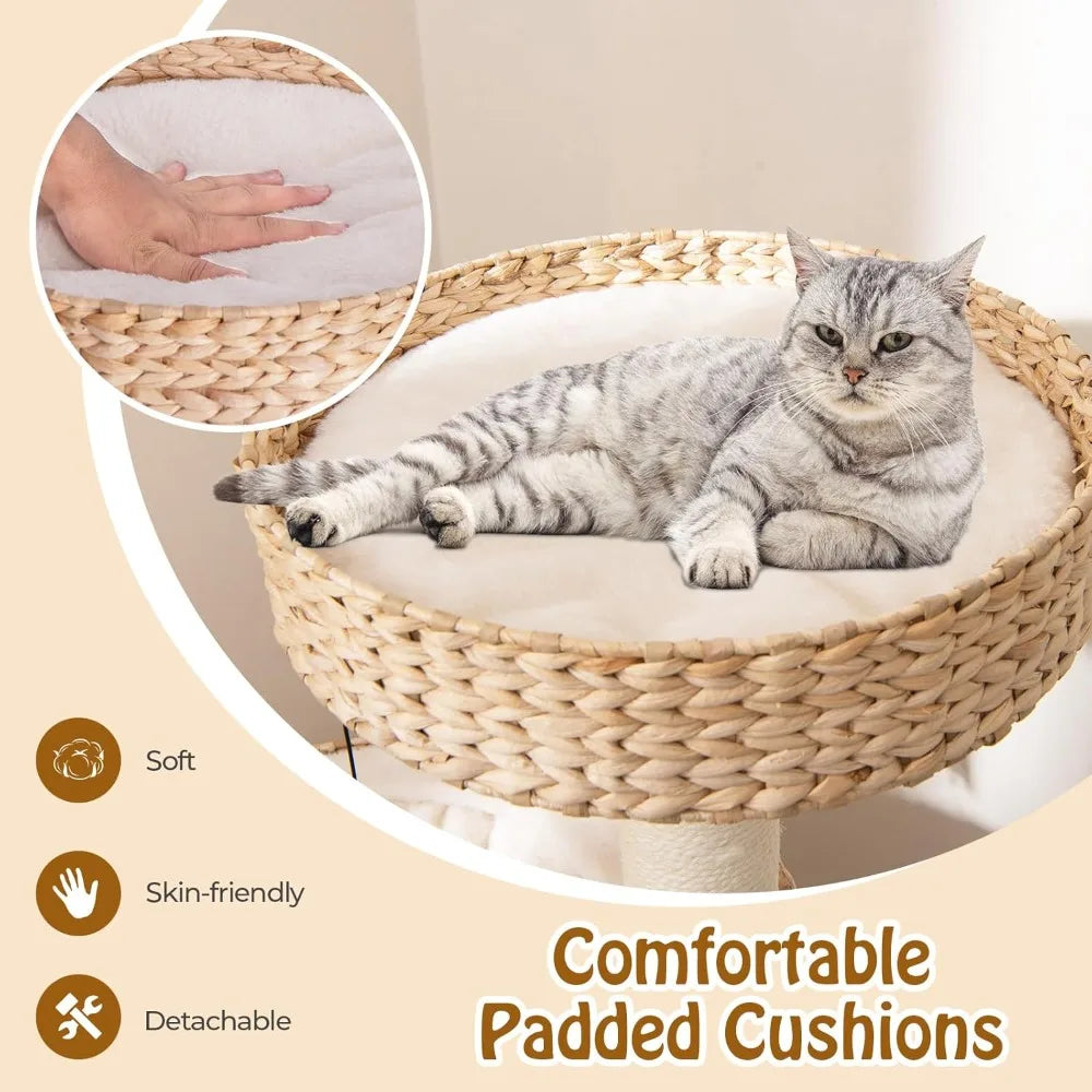 41 inch Modern Cat Tree for Indoor Cats, Multi-Level Small Cat Tree with Sisal Scratching Posts, Cattail Top Perch