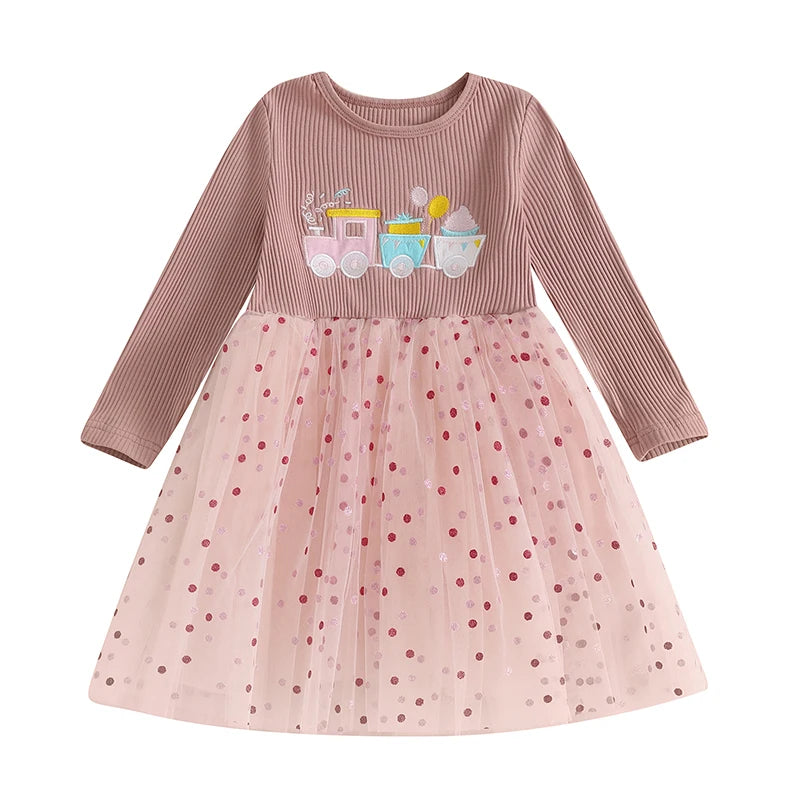 Toddler Girl Princess Dress with Floral Embroidery and Long Sleeves Elegant Tulle Party Dress for Fall Celebration