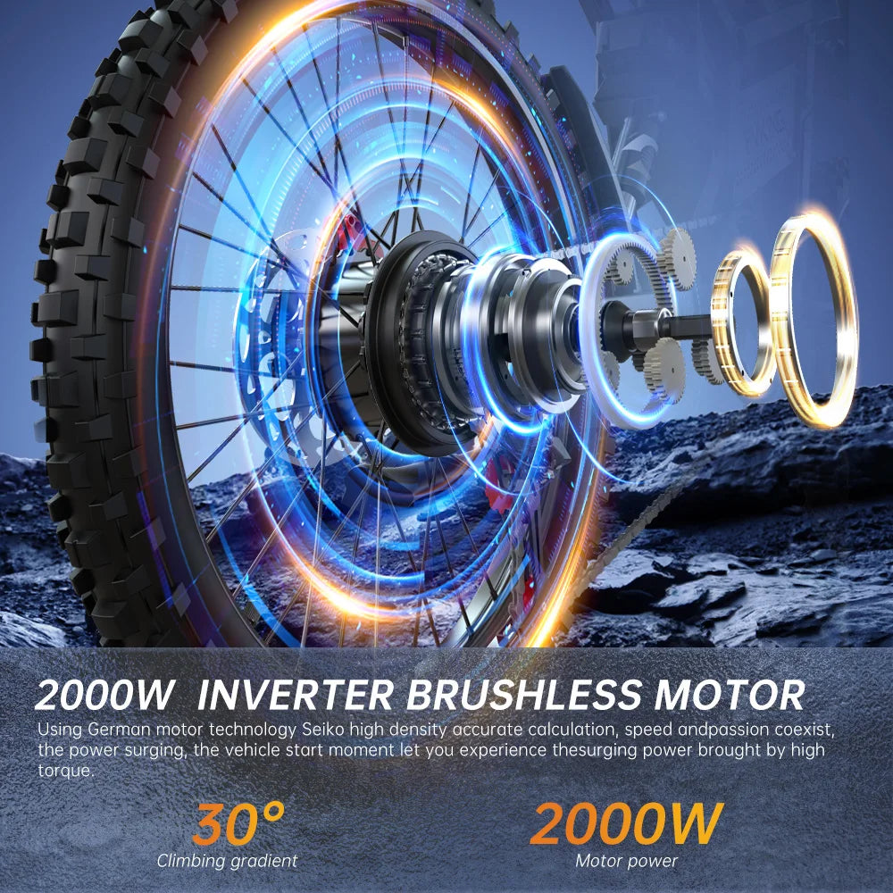 electric bike for Adults, Dual Battery, Peak 2900W 52V, Dual 20Ah, 25inchTires,off-road Mountain E-Bike, Electric Bicycle