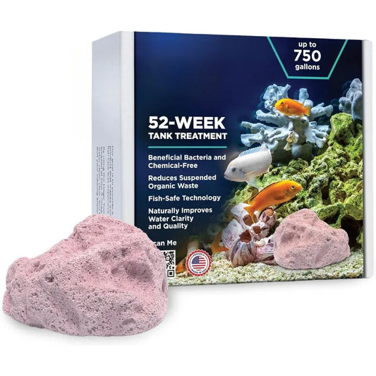 Fish Tank Rocks for Enhancing Water Clarity with Your Regular Cleaning Routine, Fish Friendly Aquarium Rocks, All Natural Aquari