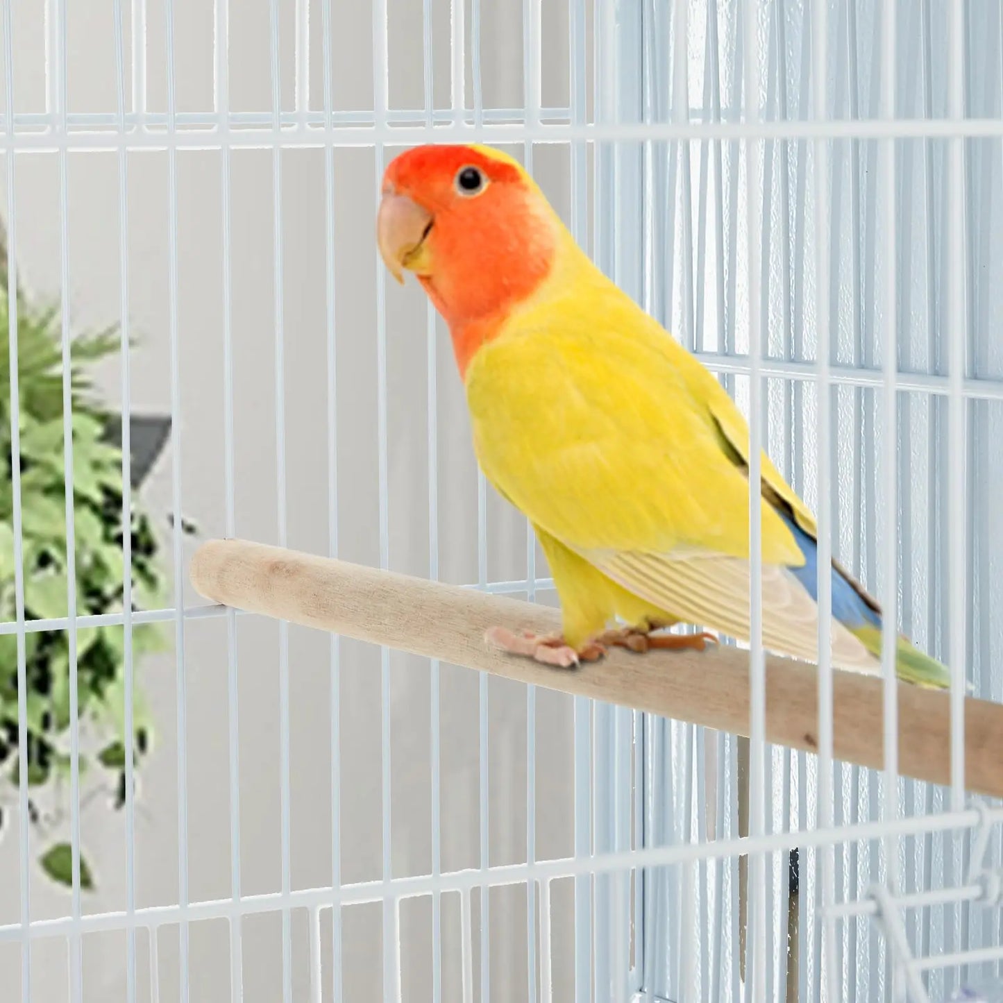 Extra Large Bird Cage Metal Parrot Cage for Mid-Sized Parrots Cockatiels Conures Parakeets Lovebirds Budgie Finch, White