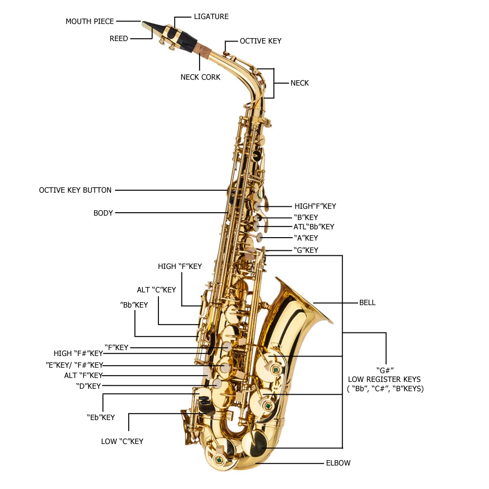 Eb Alto Saxophone Brass Lacquered Alto Sax Wind Instrument with Carry Case Gloves Straps Cleaning Cloth Brush