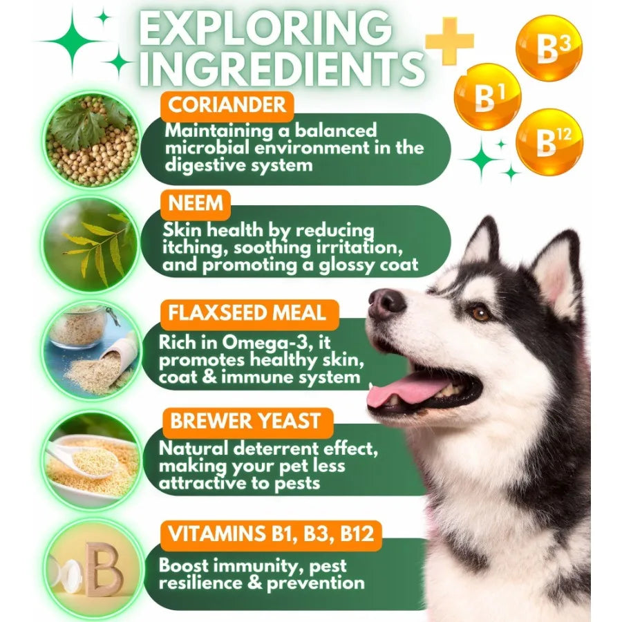 Flea and Tick Prevention for Dogs Chewables Natural Dog Flea and Tick Control Supplement Flea Tick Chews for Dogs Oral Flea Pil
