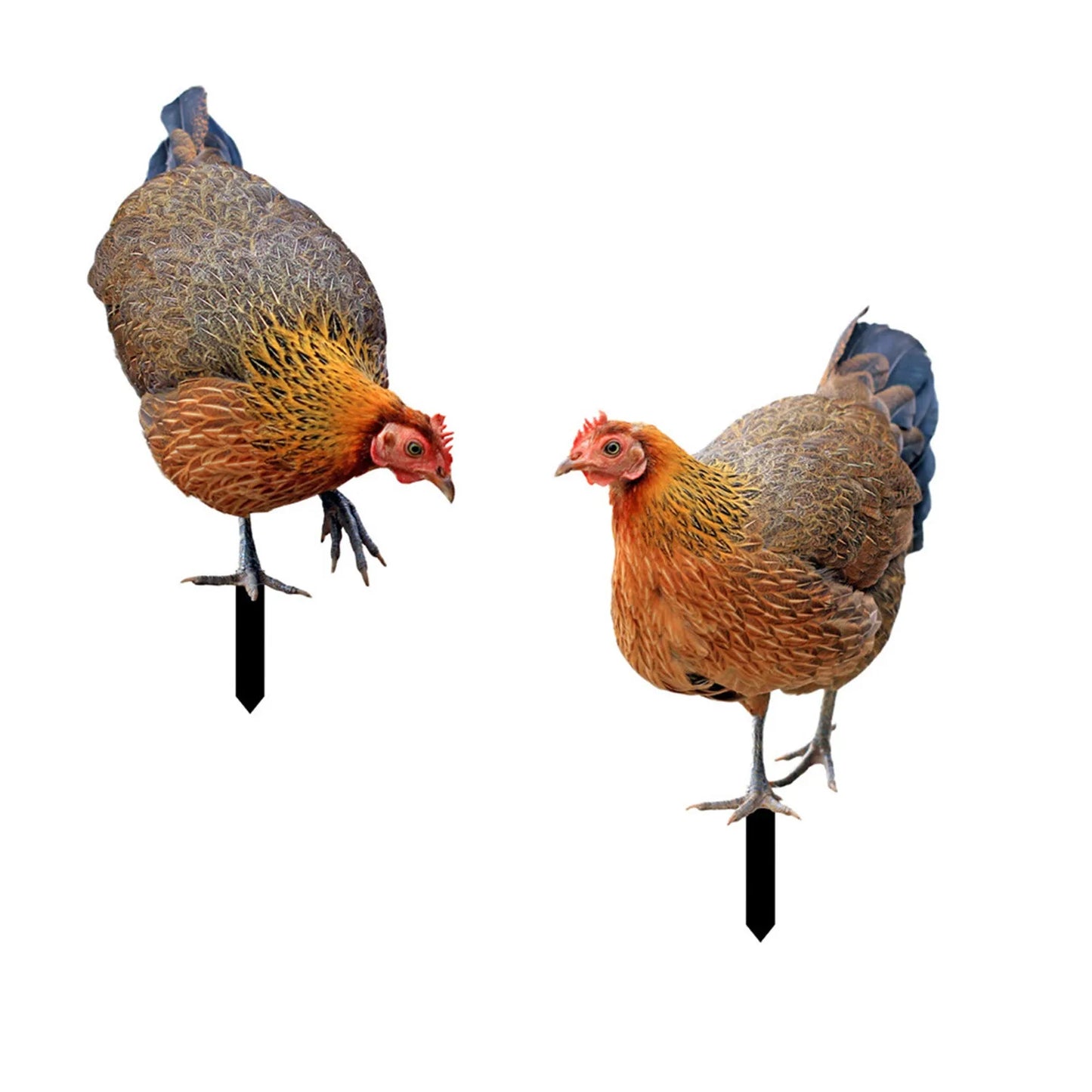 Realistic Chicken Statues Acrylic Rooster Animals Stakes Animals Sculptures Decor Chicken Ornaments Yard Art Decor For Backyard