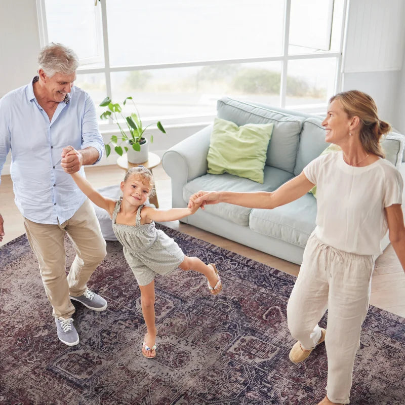 LOOM & LUXE 5x8 Area Rugs for Living Room, Washable Rug, Low-Pile, Non-Slip, Non-Shedding, Foldable, Kid & Pet Friendly - Area R