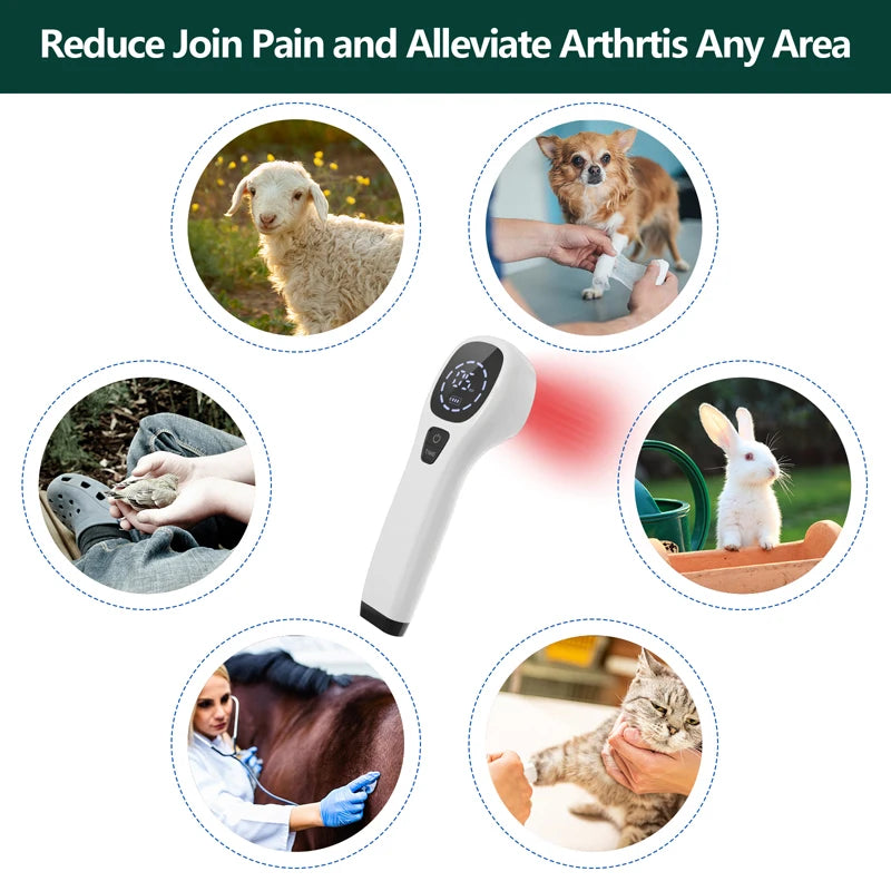 Handheld Laser Therapy for Dogs 2*808nm Laser Diode Red Light Therapy for Pain Relief&Wound Healing&Joint/Muscle Stiffness
