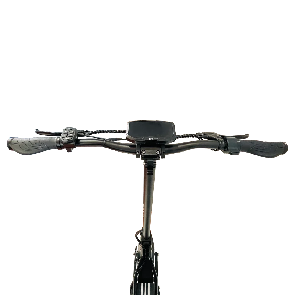 Drive Tron DT10 adult electric scooter, 1400W*2 motor,48v 20.8Ah,folding E-scooter,10 inch tire E-Mountain Scooter