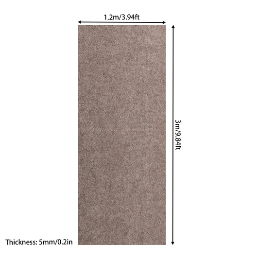1.2x3M Area Rugs for Bedroom Living Room,  Fluffy Fuzzy Shag Shaggy Soft Plush Carpet, Indoor Floor Rug for Home Dorm Decor