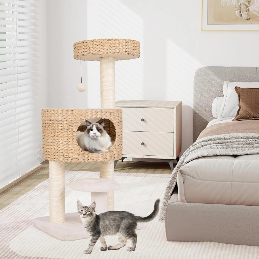 41 inch Modern Cat Tree for Indoor Cats, Multi-Level Small Cat Tree with Sisal Scratching Posts, Cattail Top Perch