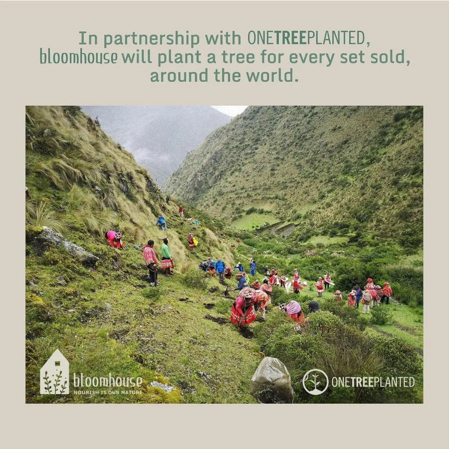 Bloomhouse 12 Piece Aluminum Cookware Set Ceramic Nonstick