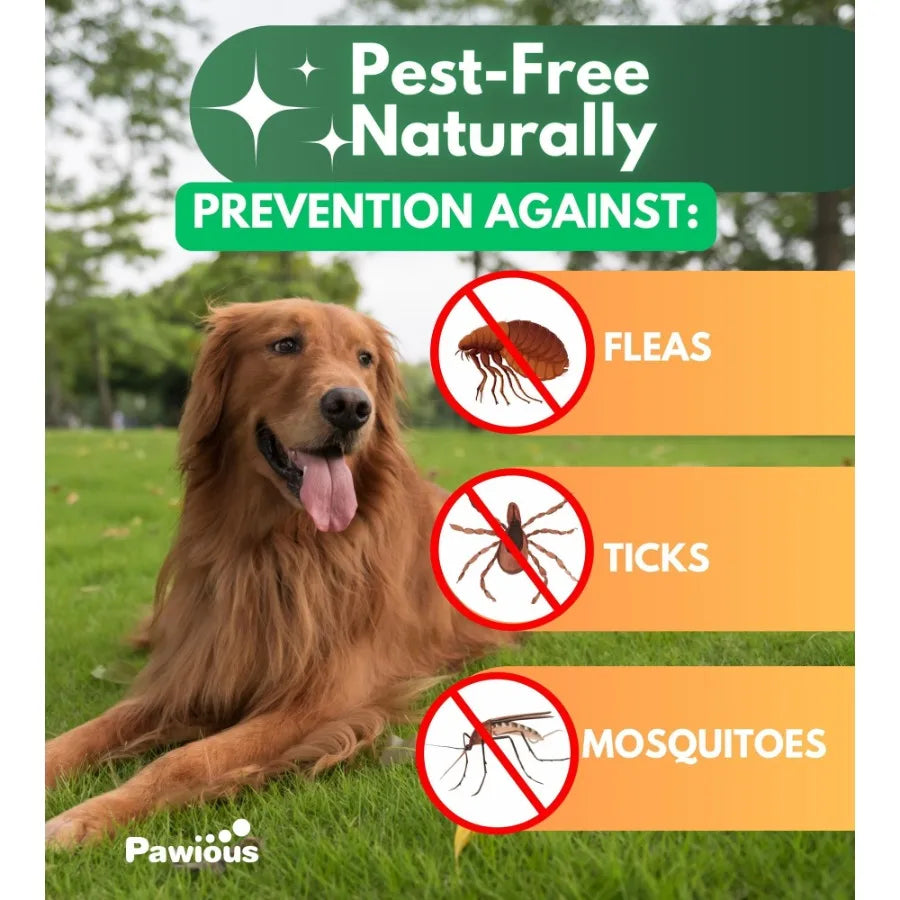 Flea and Tick Prevention for Dogs Chewables Natural Dog Flea and Tick Control Supplement Flea Tick Chews for Dogs Oral Flea Pil