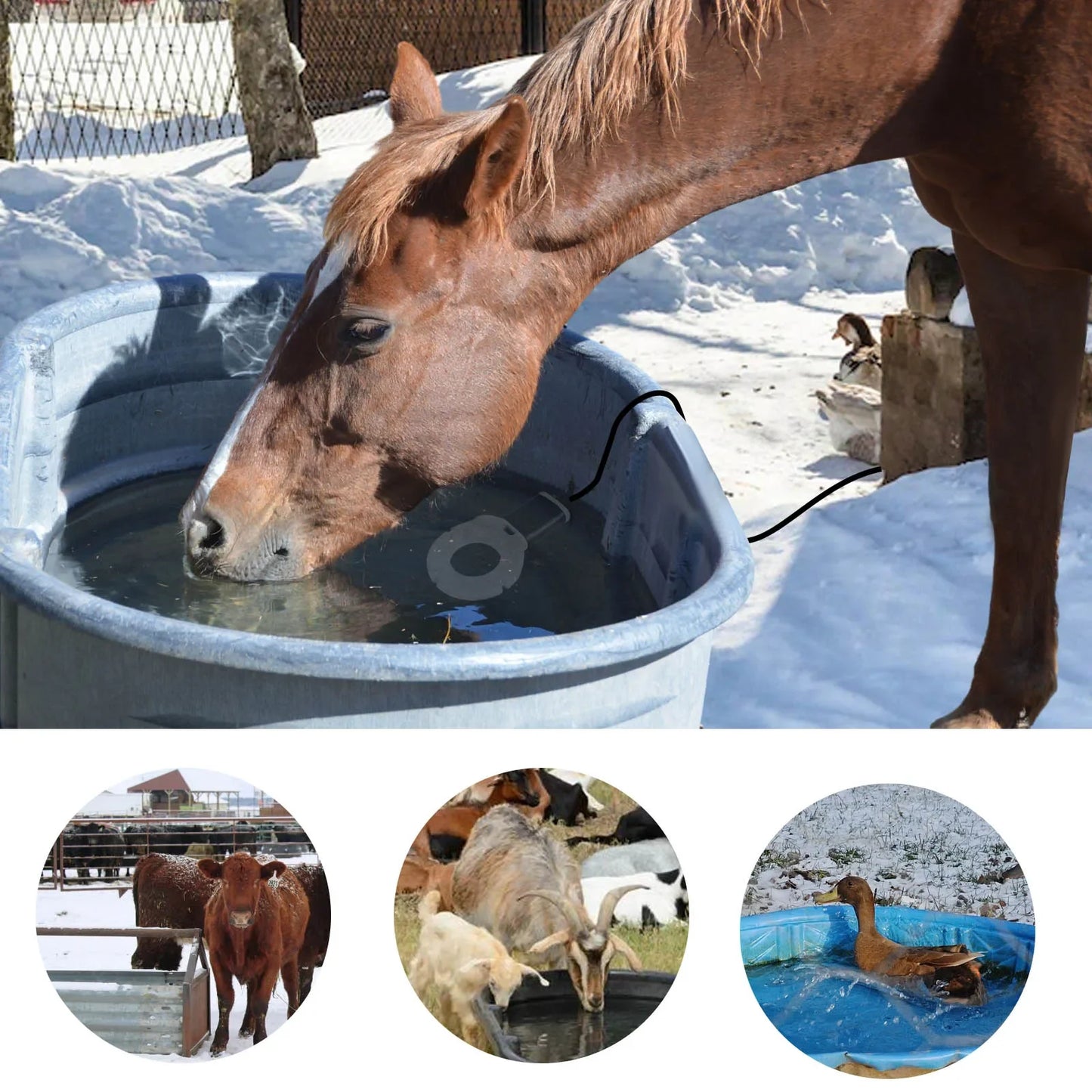 Submergible Cast Aluminum Thermostatic Control Bird Bath Heater De-Icer for Livestock Poultry Birds Cows Horses Drink Water