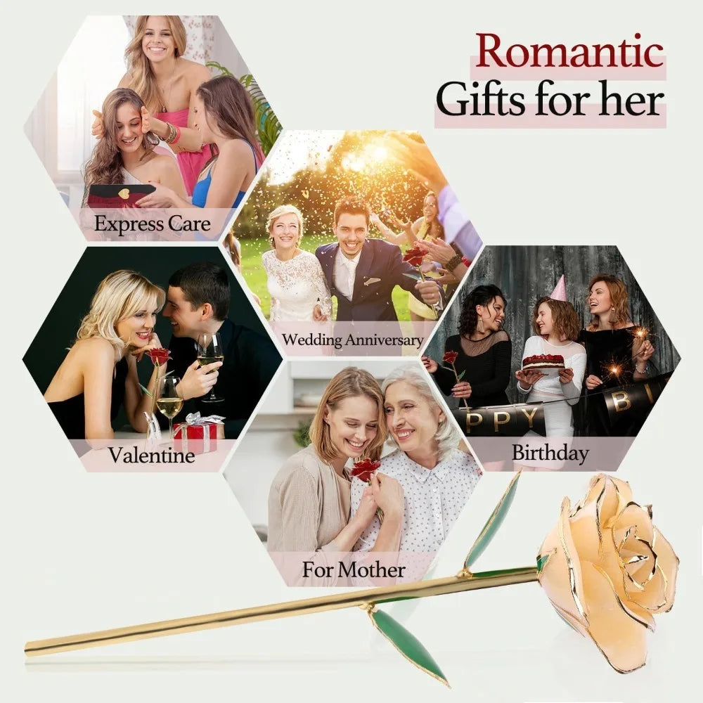 Gold Dipped Rose White,Dipped in 24k Gold-Long Stem Rose Flowers Artificial for Decoration,Rose Flowers with Transparent Stand