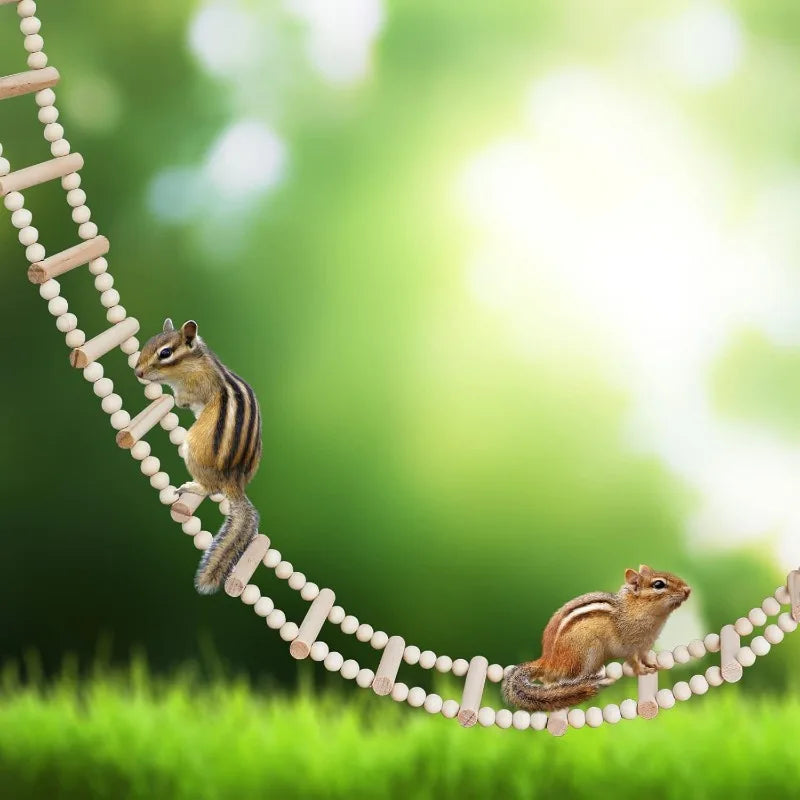 Wooden Bird & Hamster Ladder Bridge, 28-Step Climbing Toy for Parrots, Rats, Squirrels, Parakeets