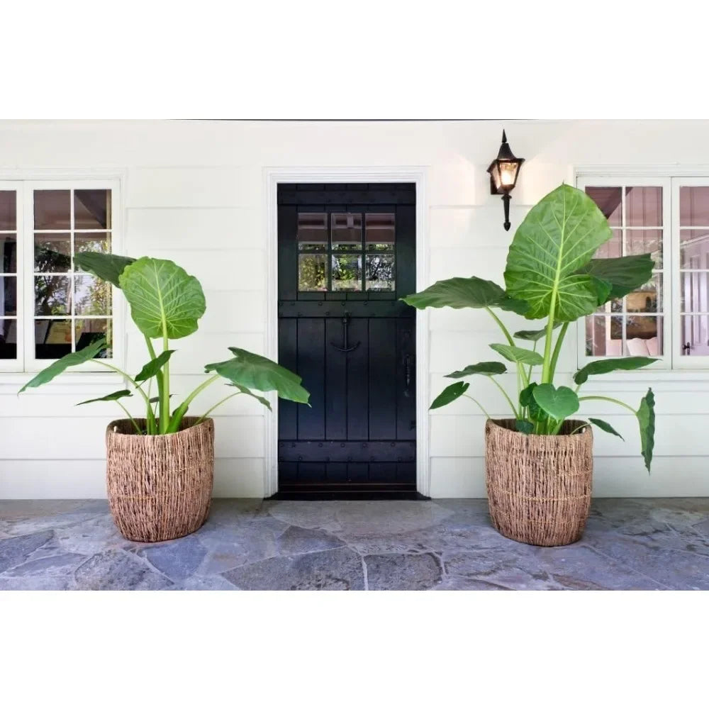 Madras Planter Basket, Plant Container, Tree Planter, Basket Front Door, Decorative Plants Pot, Woven Options for Every