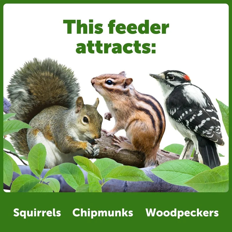 Red Cedar Squirrel Feeder Picnic Table Holds Corn Nuts Seeds Outdoor Hanging Mountable Wildlife Feeder Easy Drainage Fully