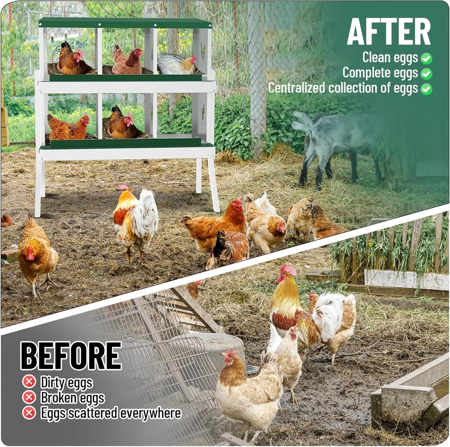 Chicken Nesting Box with Bracket Legs 6 8 10 Compartment Metal Chicken Laying Boxes for Chicken Coop Hens